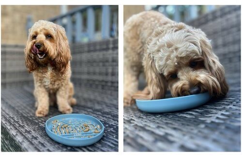 Silicone Slow Feeder Bowl With Suction Base | Slate Blue