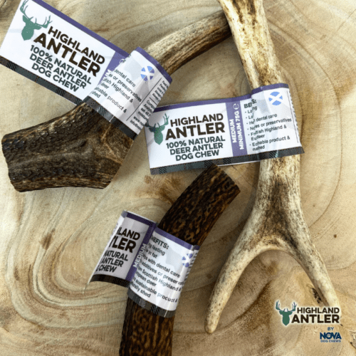 Highland Antler | Medium