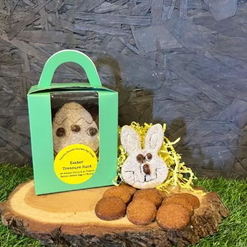 Limited Edition Easter Treasure Hunt for Dogs | x9 Salmon Coins & x1 Peanut Butter Easter Bunny!