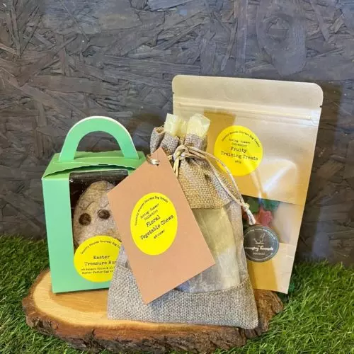 Limited Edition Easter Treasure Hunt for Dogs | x9 Salmon Coins & x1 Peanut Butter Easter Bunny!